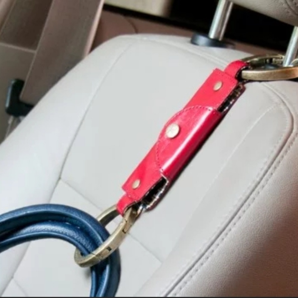 In Search Of Handbag Handcuff